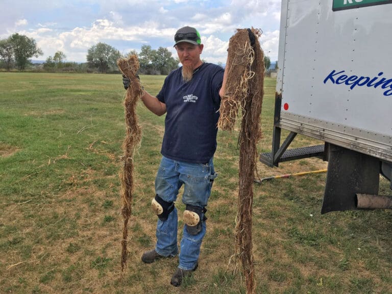 Webb owner hold two large root clumps that have been pulled from a drain