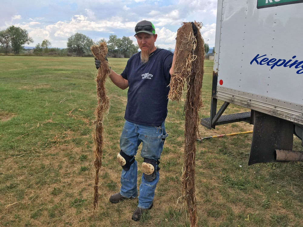 Webb owner hold two large root clumps that have been pulled from a drain