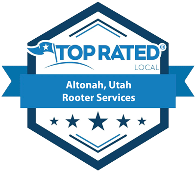 Top Rated Local award for Rooter Services